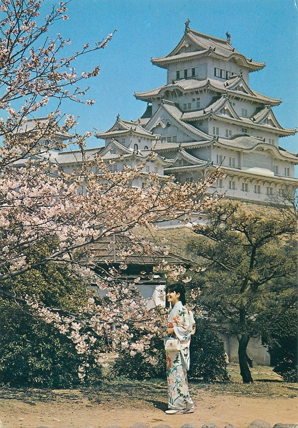Himeji Castle Cherry Blossom Pretty Lady Postcard