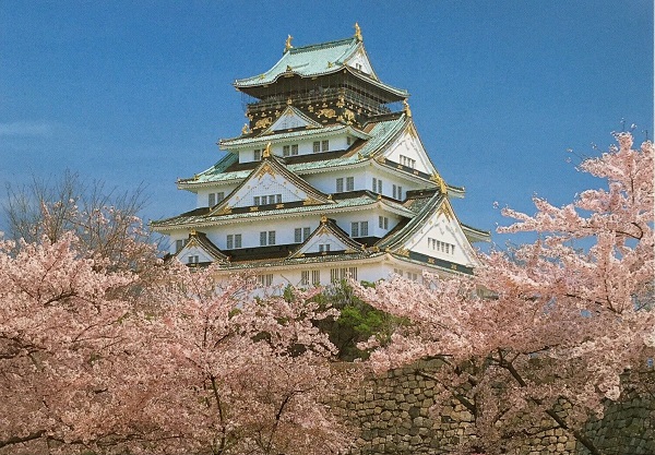 Osaka Castle Cherry Blossoms Postcard